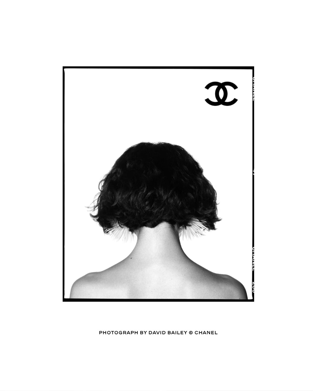 Photograph by David Bailey